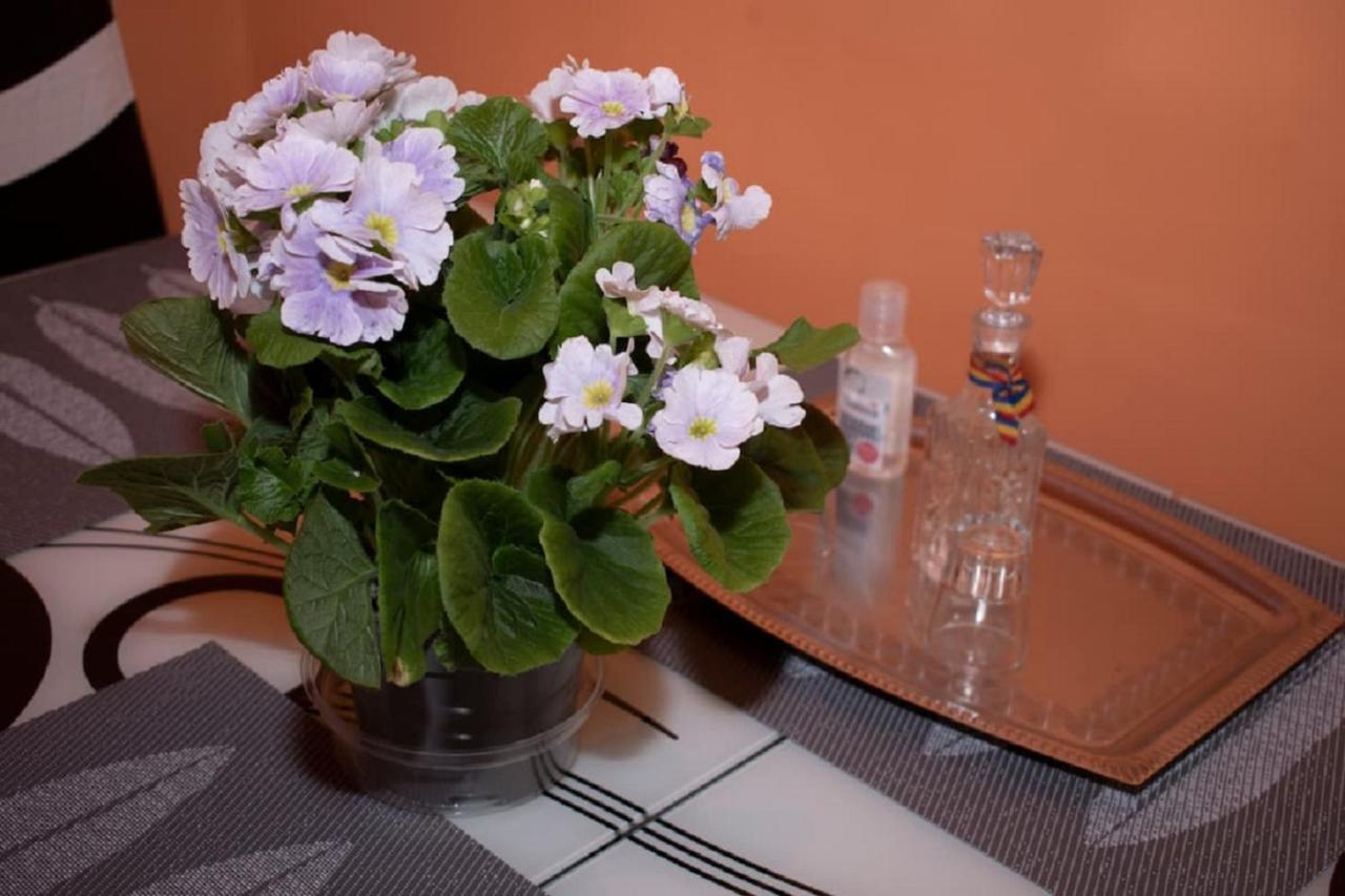 Central Apartment Maria Sibiu Buitenkant foto